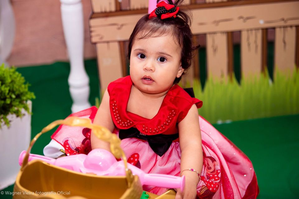 Aniversário Alice 1 ano Aniversário Alice 1 ano